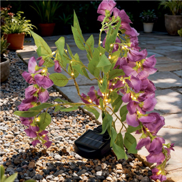 Spruce up your outdoor space